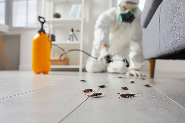 Commercial Kitchen Cockroach Control in Shreve